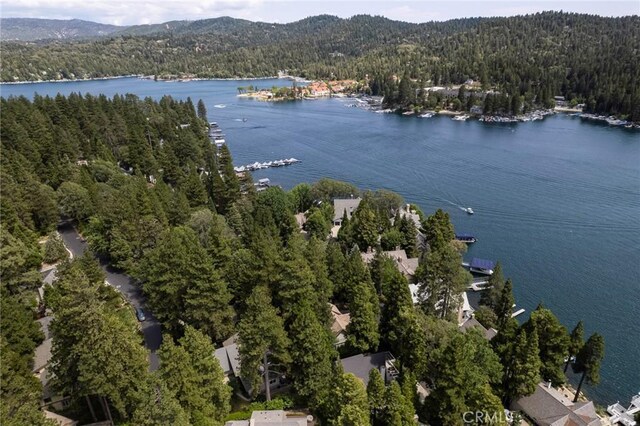 27843 Peninsula Dr N, Lake Arrowhead, CA 92352 - photo 31