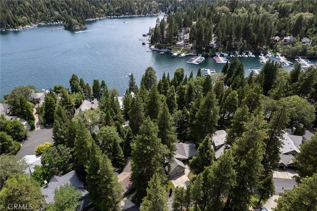27843 Peninsula Dr N, Lake Arrowhead, CA 92352 - photo 32