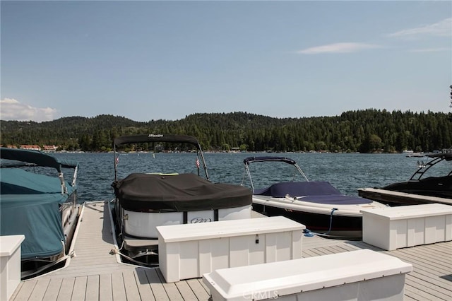 27843 Peninsula Dr N, Lake Arrowhead, CA 92352 - photo 29