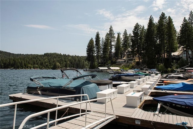 27843 Peninsula Dr N, Lake Arrowhead, CA 92352 - photo 28