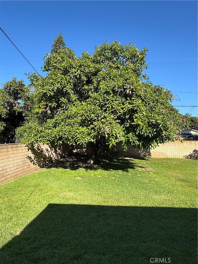 6708 Bequette Ave, Pico Rivera, CA 90660 - photo 22