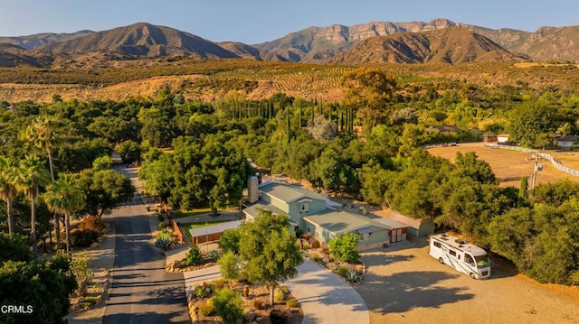 12475 Christmas Tree Rd, Ojai, CA 93023 - photo 50