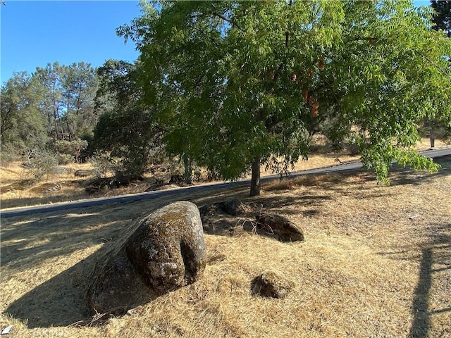 31749 Rd 400, Coarsegold, CA 93614 - photo 2