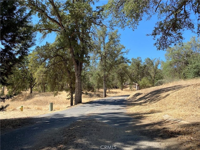 31749 Rd 400, Coarsegold, CA 93614 - photo 22