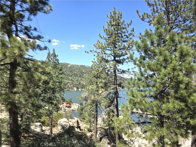 437 Chickadee Dr, Big Bear Lake, CA 92315 - photo 29