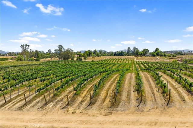 0 Berenda Rd, Temecula, CA 92591 - photo 16