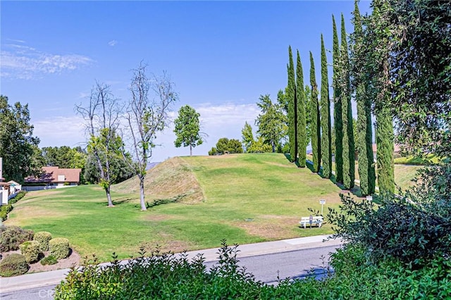 26150 Rainbow Glen Dr, Newhall, CA 91321 - photo 46