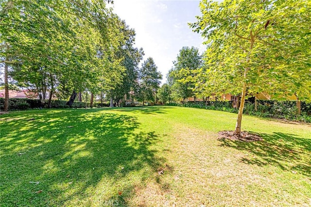 25256 Steinbeck Ave Unit F, Stevenson Ranch, CA 91381 - photo 32