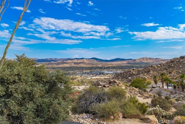 57249 Farrelo Rd, Yucca Valley, CA 92284 - photo 37