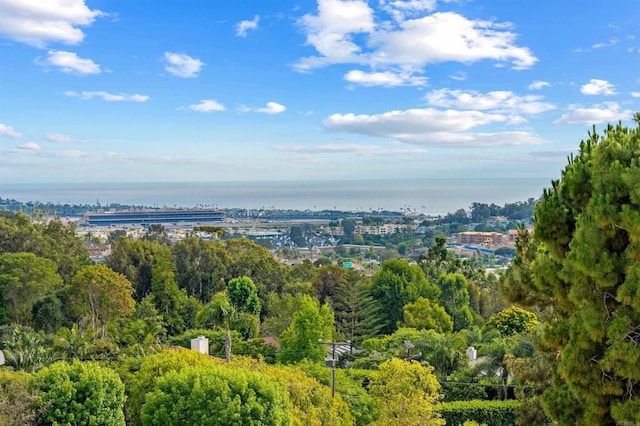 1110 Solana Dr, Del Mar, CA 92014 - photo 53