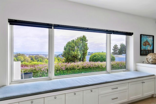 1110 Solana Dr, Del Mar, CA 92014 - photo 44