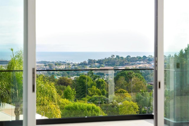 1110 Solana Dr, Del Mar, CA 92014 - photo 30