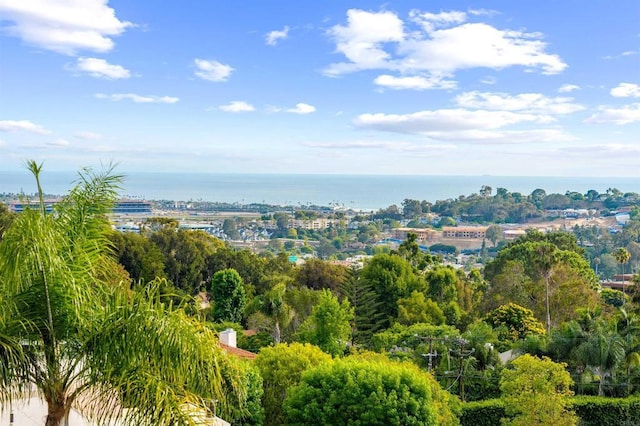 1110 Solana Dr, Del Mar, CA 92014 - photo 54