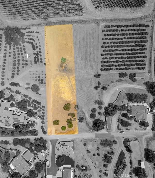 5035 Stagg Hill Pl, Paso Robles, CA 93446 - photo 8