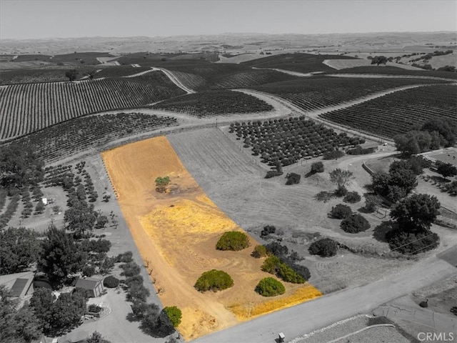 5035 Stagg Hill Pl, Paso Robles, CA 93446 - photo 10