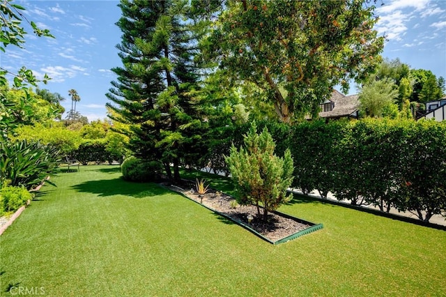 958 E Stocker St, Glendale, CA 91207 - photo 53