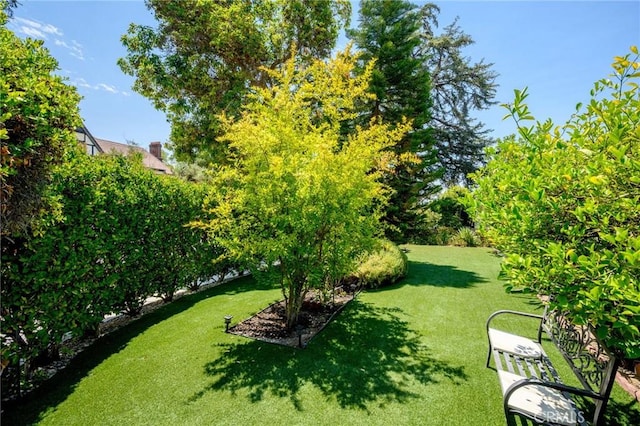 958 E Stocker St, Glendale, CA 91207 - photo 51