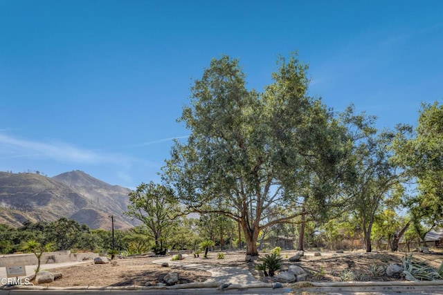 2236 Suree Ellen Ln, Altadena, CA 91001 - photo 4