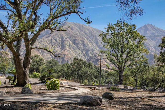 2236 Suree Ellen Ln, Altadena, CA 91001 - photo 5