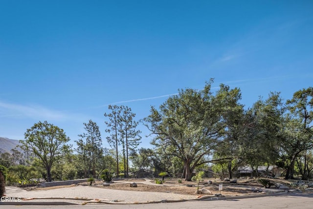 2236 Suree Ellen Ln, Altadena, CA 91001 - photo 3