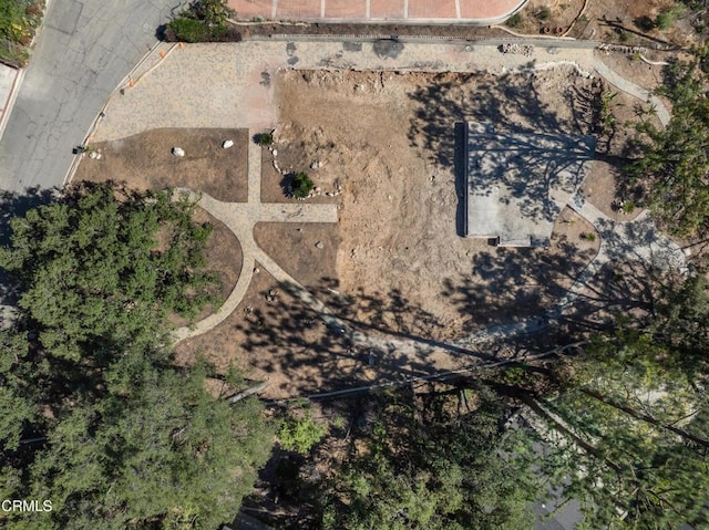 2236 Suree Ellen Ln, Altadena, CA 91001 - photo 8