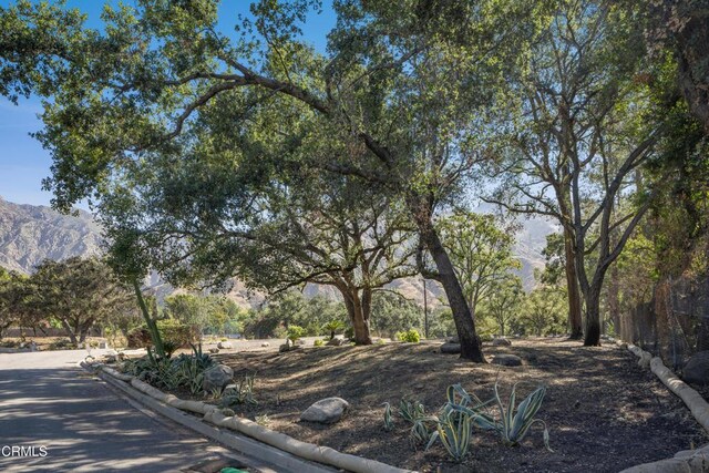 2236 Suree Ellen Ln, Altadena, CA 91001 - photo 2