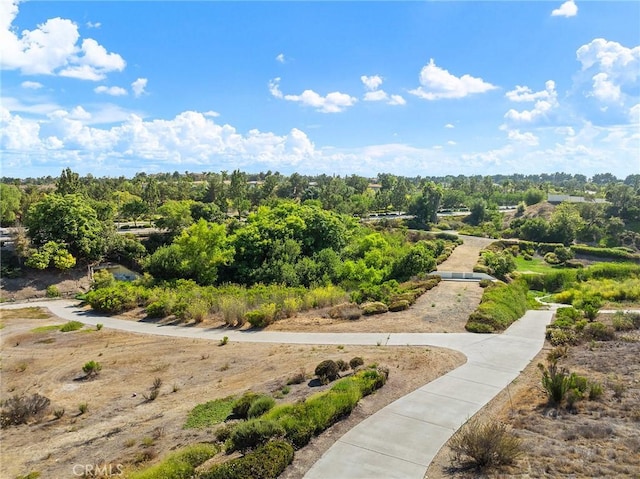 1427 Marble Canyon Way, Chula Vista, CA 91915 - photo 47
