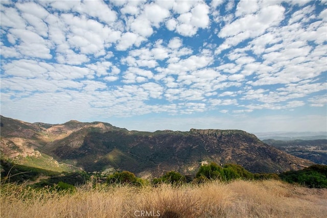 14655 Yerba Buena Rd, Malibu, CA 90265 - photo 22
