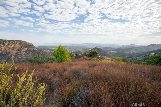 14655 Yerba Buena Rd, Malibu, CA 90265 - photo 18