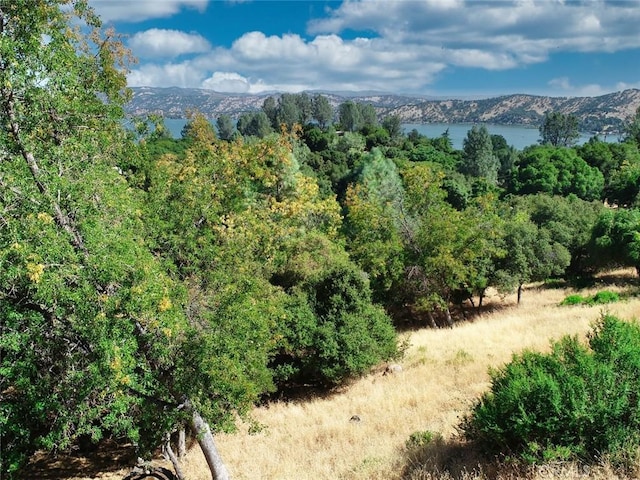 10610 Boren Bega Dr, Kelseyville, CA 95451 - photo 2
