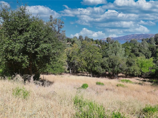 10610 Boren Bega Dr, Kelseyville, CA 95451 - photo 9
