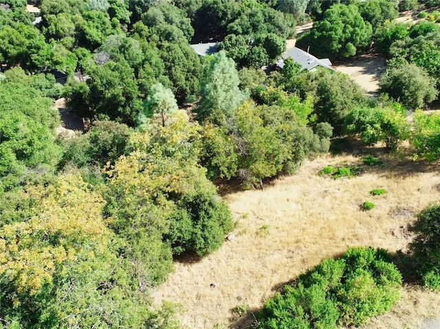 10610 Boren Bega Dr, Kelseyville, CA 95451 - photo 4