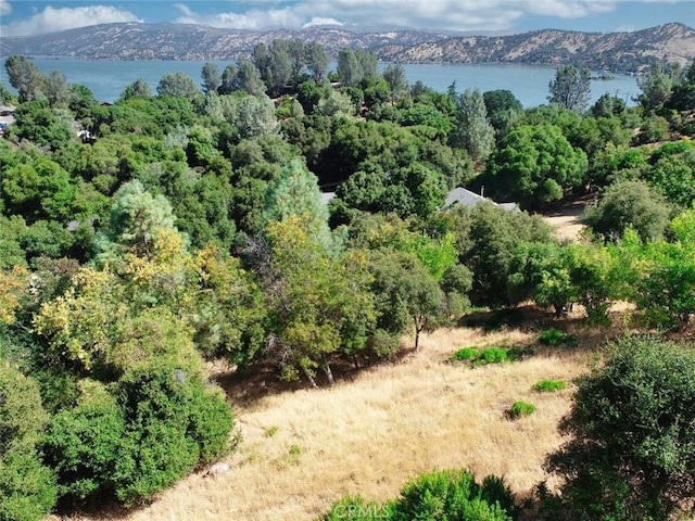 10610 Boren Bega Dr, Kelseyville, CA 95451 - photo 7
