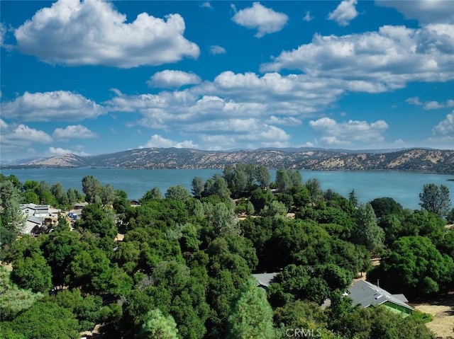 10610 Boren Bega Dr, Kelseyville, CA 95451 - photo 5