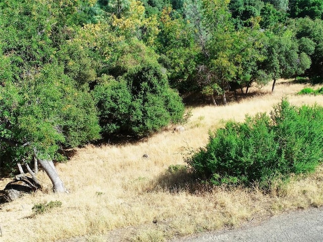 10610 Boren Bega Dr, Kelseyville, CA 95451 - photo 1