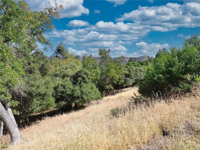 10610 Boren Bega Dr, Kelseyville, CA 95451 - photo 8