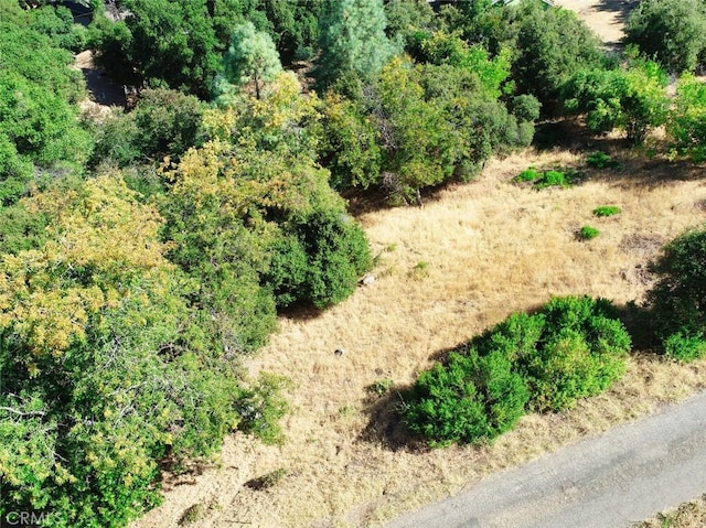 10610 Boren Bega Dr, Kelseyville, CA 95451 - photo 3