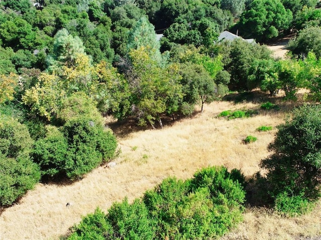 10610 Boren Bega Dr, Kelseyville, CA 95451 - photo 6