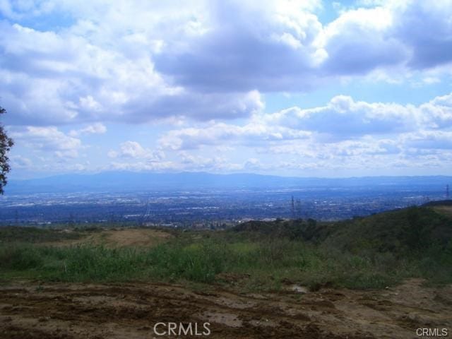 10095 Snow Drop Rd, Rancho Cucamonga, CA 91730 - photo 3