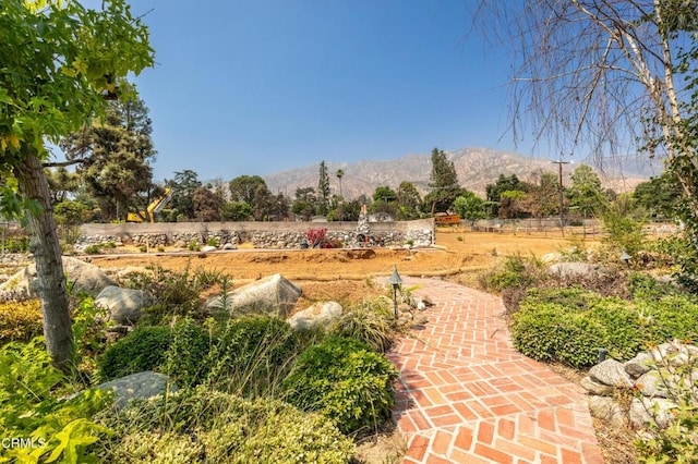 1215 E Mendocino St, Altadena, CA 91001 - photo 8