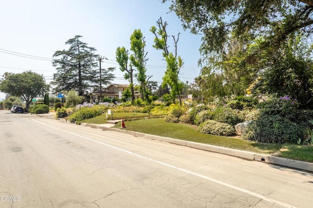 1215 E Mendocino St, Altadena, CA 91001 - photo 4