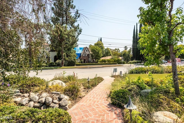 1215 E Mendocino St, Altadena, CA 91001 - photo 16