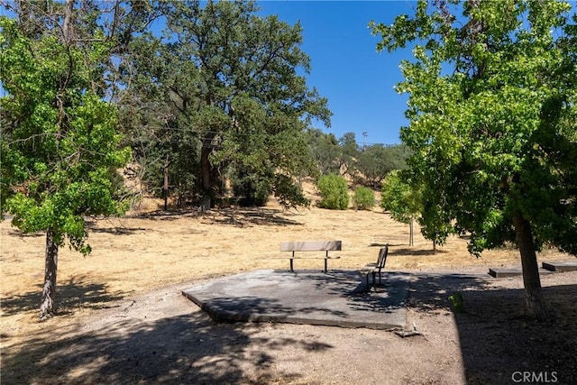 5525 Capistrano Ave Unit 41, Atascadero, CA 93422 - photo 25