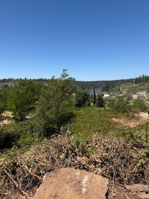 13815 Glover Ln, Magalia, CA 95954 - photo 4