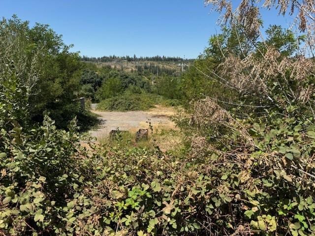 13815 Glover Ln, Magalia, CA 95954 - photo 5