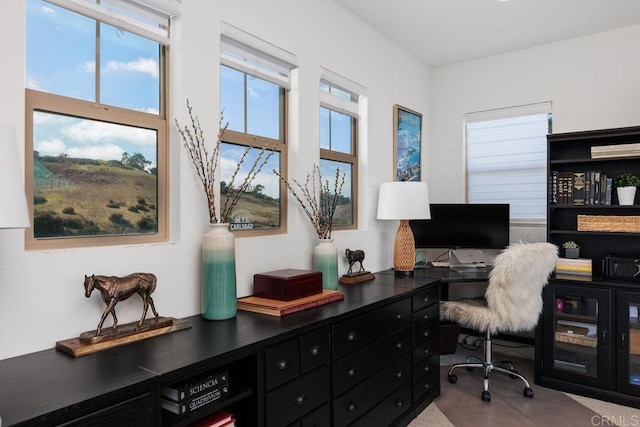 3072 Marron Rd, Carlsbad, CA 92010 - photo 44