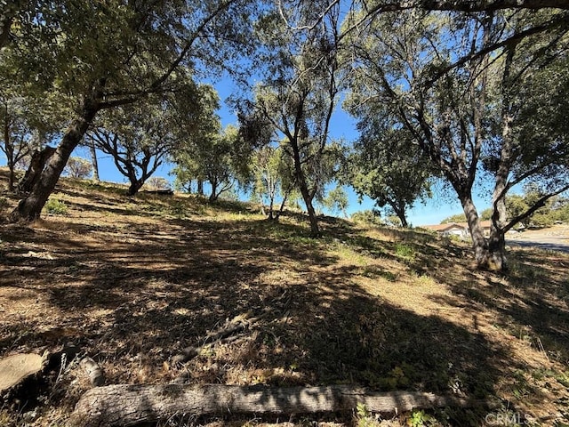 5710 Clouds Rst, Mariposa, CA 95338 - photo 3