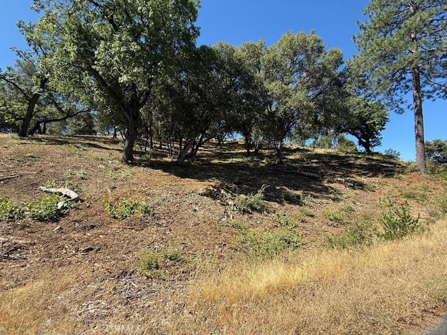 5710 Clouds Rst, Mariposa, CA 95338 - photo 7