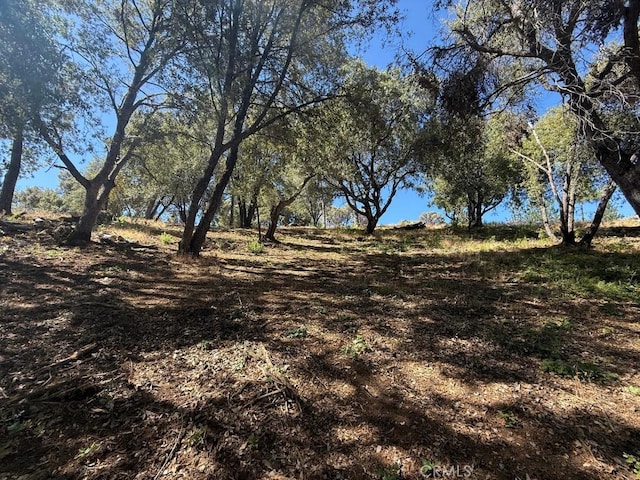 5710 Clouds Rst, Mariposa, CA 95338 - photo 2