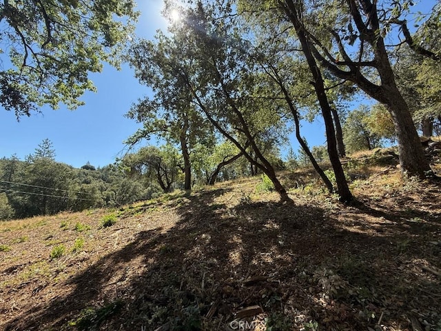 5710 Clouds Rst, Mariposa, CA 95338 - photo 4